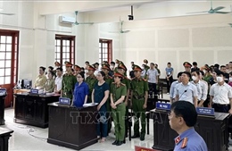 Tòa phúc thẩm tuyên án 15 tháng tù đối với bà Lê Thị Dung