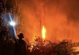 Indonesia sẵn sàng các biện pháp ứng phó với cháy rừng