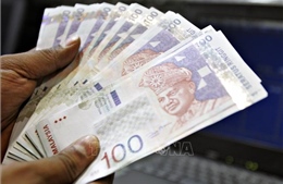 Đồng nội tệ Malaysia giảm xuống mức thấp nhất 7 tháng so với USD