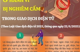 8 hành vi bị nghiêm cấm trong giao dịch điện tử