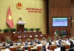 Việc sửa đổi luật xuất nhập cảnh của Việt Nam góp phần thúc đẩy du lịch và phát triển kinh tế