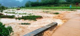 Mưa lũ tại Lạng Sơn gây thiệt hại về nhà cửa, hoa màu, đường giao thông