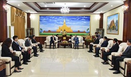 Việt Nam đánh giá cao đóng góp của Ban Đối ngoại Trung ương Đảng Nhân dân Cách mạng Lào trong quan hệ hai nước 