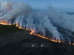 Trên 100 triệu người Mỹ bị ảnh hưởng do khói cháy rừng lan từ Canada