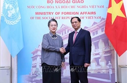 Việt Nam hết sức coi trọng hợp tác với ESCAP