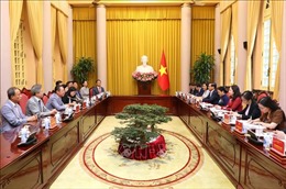 Phó Chủ tịch nước tiếp Đoàn đại biểu Hội Những người Hàn Quốc yêu Việt Nam