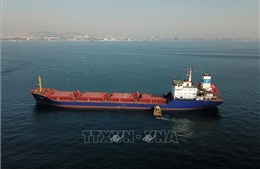 Nga, Ukraine xác định các tàu đi lại ở Biển Đen &#39;có thể là tàu chở hàng quân sự&#39;