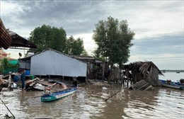 Báo động tình trạng sạt lở đất ven sông tại Cà Mau