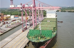 Đổi mới sáng tạo - Điểm kết nối thành công giữa Việt Nam và Australia