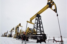 Xuất khẩu các sản phẩm dầu từ Nga sang châu Phi tăng mạnh