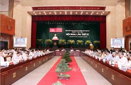 TP Hồ Chí Minh tập trung dồn lực đưa Nghị quyết 98 vào cuộc sống