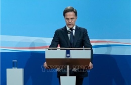 Thủ tướng Hà Lan sẽ không tranh cử nhiệm kỳ mới