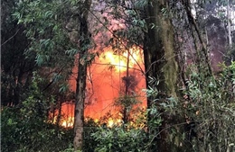Vụ cháy rừng tại Nghệ An: Canh gác, xử lý dứt điểm các tàn than