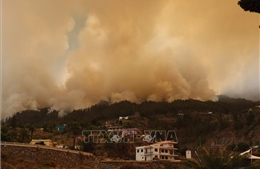 Tây Ban Nha: Cháy rừng tại đảo La Palma khiến trên 2.500 người phải sơ tán