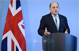 Bộ trưởng Quốc phòng Anh sẽ từ chức trước đợt cải tổ nội các mới