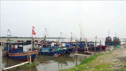 Ninh Bình kêu gọi ngư dân, lao động hoạt động ngoài biển tránh trú bão trước 19 giờ 