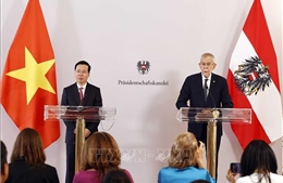 Chủ tịch nước Võ Văn Thưởng và Tổng thống Áo họp báo chung  