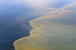 Mexico: Khắc phục sự cố rò rỉ dầu trên biển