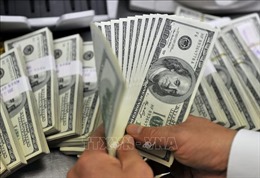 Đồng USD neo gần mức cao nhất bốn tuần qua sau quyết định của Fitch