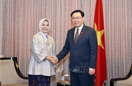 Chủ tịch Quốc hội Vương Đình Huệ tiếp Chủ tịch Ủy ban Kiểm toán Indonesia