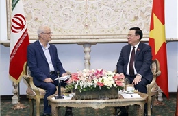 Chủ tịch Quốc hội Vương Đình Huệ tiếp Chủ tịch Hội hữu nghị Iran - Việt Nam 