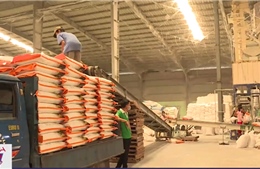 Đề nghị doanh nghiệp, nhà phân phối giữ ổn định giá gạo