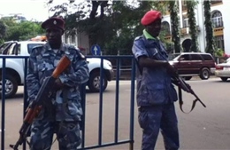 Sierra Leone bắt giữ 14 binh sĩ, 3 cảnh sát do âm mưu &#39;lật đổ&#39; nhà nước