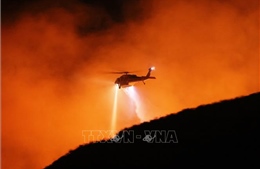 Mỹ: Bang Hawaii ban bố tình trạng khẩn cấp do cháy rừng bất ngờ bùng phát