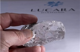 Thêm một viên kim cương trên 1.000 carat &#39;lộ diện&#39;