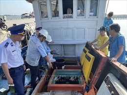 Xử lý tàu cá không duy trì kết nối thiết bị giám sát hành trình