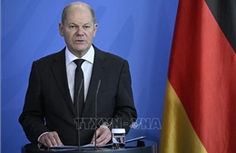 Đức kêu gọi thúc đẩy các cuộc thảo luận về hòa bình Ukraine