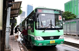 TP Hồ Chí Minh dừng dự án hỗ trợ kỹ thuật tuyến buýt nhanh BRT số 1
