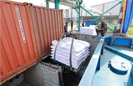 Xuất khẩu gạo trong tình hình mới - Bài 1: Khẳng định vị thế của gạo Việt Nam