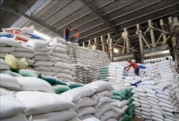 Xuất khẩu gạo trong tình hình mới - Bài cuối: Mở rộng thị trường
