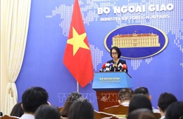 Việt Nam sẽ cử đại diện tham gia Hội nghị Thượng đỉnh của Nhóm BRICS