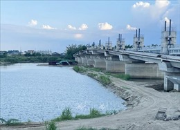 Kiểm tra, xử lý nghiêm khai thác cát trái phép trên sông Trà Khúc