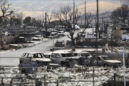 Thảm họa cháy rừng ở Hawaii (Mỹ): Số người thiệt mạng tăng lên 114 
