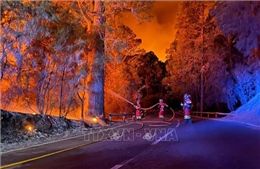 Người dân trên đảo Tenerife phải sơ tán do cháy rừng vượt tầm kiểm soát