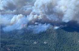 Tỉnh bang British Columbia của Canada tuyên bố tình trạng khẩn cấp vì cháy rừng