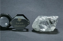 Phát hiện viên kim cương trắng 692,3 carat tại Botswana