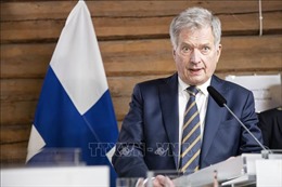 Phần Lan đề xuất OSCE hỗ trợ hoà đàm giữa Nga, Ukraine 