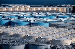 IAEA đảm bảo chia sẻ thông tin về nước xả thải từ nhà máy điện hạt nhân Fukushima