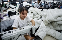 Việt Nam - Hàn Quốc tăng cường hợp tác đầu tư trong lĩnh vực dệt may