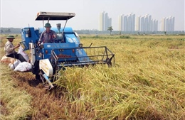 Phát triển nông nghiệp Hà Nội - nền tảng phát triển du lịch và dịch vụ - Bài cuối: Bám sát tiến trình phát triển đô thị