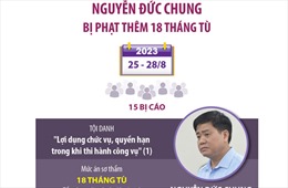 Vụ nâng khống giá cây xanh: Bị cáo Nguyễn Đức Chung bị phạt thêm 18 tháng tù