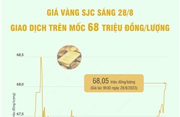 Giá vàng SJC sáng 28/8 giao dịch trên mốc  triệu đồng/lượng