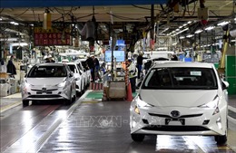 Toyota khắc phục sự cố làm toàn bộ nhà máy tại Nhật Bản ngừng hoạt động