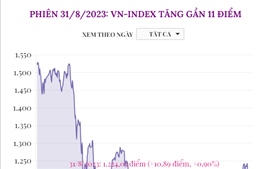 Phiên 31/8/2023: VN-Index tăng gần 11 điểm