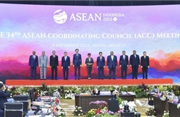 Hội đồng Điều phối ASEAN thảo luận biện pháp đẩy nhanh quá trình ra quyết định