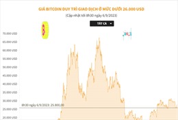 Giá Bitcoin duy trì giao dịch ở mức dưới 26.000 USD